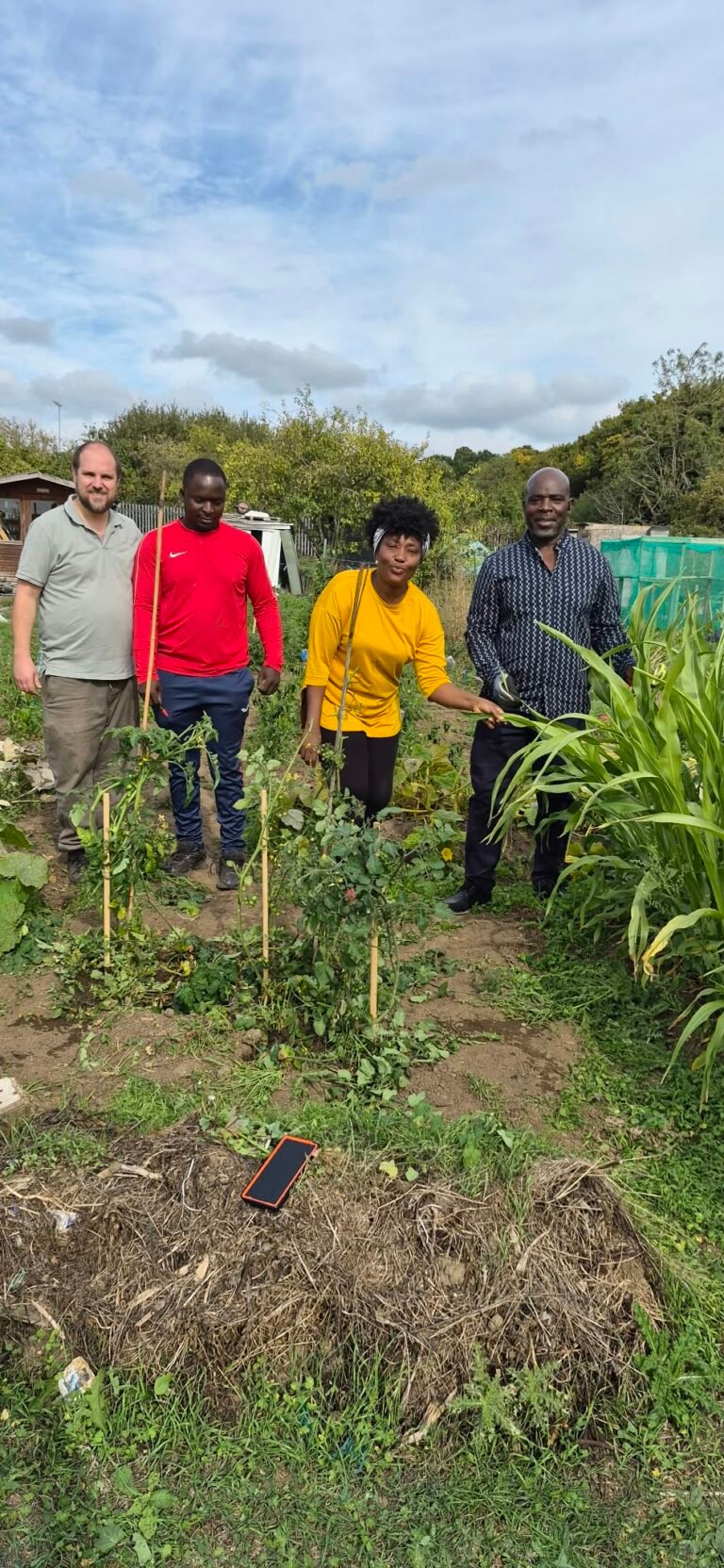 A Great Fun at the Allotment